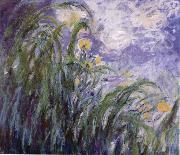 Claude Monet Yellow Irises china oil painting artist